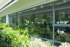 NVs Sunset and Seaview Vacation Condos at IMAGO Shopping Mall