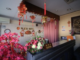 Plaza Hotel by OYO Rooms