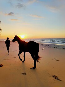 Earth Park Resorts