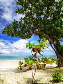 Earth Park Resorts