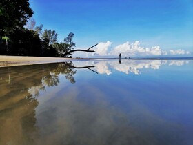 Earth Park Resorts