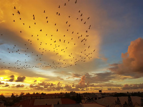 Pan Borneo Hotel Kota Kinabalu