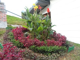 Ayana Holiday Resort