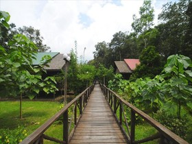 Sukau Rainforest Lodge