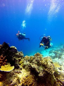 Scuba Tiger Semporna Holiday Resort