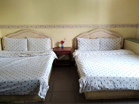 Cat City Inn by OYO Rooms