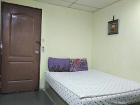 Cat City Inn by OYO Rooms