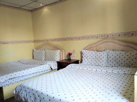 Cat City Inn by OYO Rooms