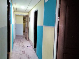 Cat City Inn by OYO Rooms