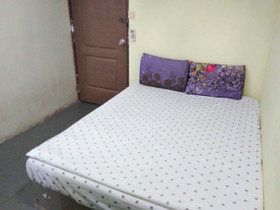 Cat City Inn by OYO Rooms