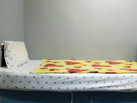 Cat City Inn by OYO Rooms