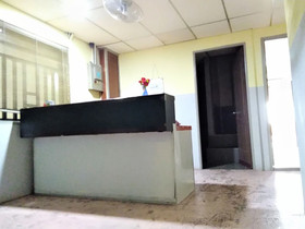 Cat City Inn by OYO Rooms