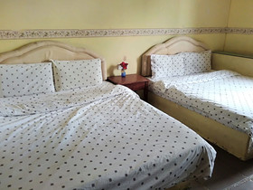 Cat City Inn by OYO Rooms