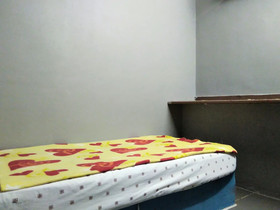 Cat City Inn by OYO Rooms