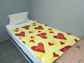 Cat City Inn by OYO Rooms