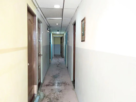 Cat City Inn by OYO Rooms