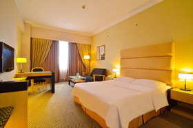 Dynasty Hotel Miri