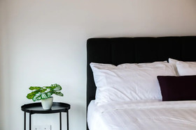 Arte Plus by Victoria Home