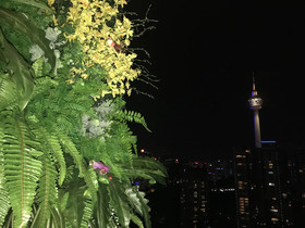 Magical View Homestay @ The Robertson