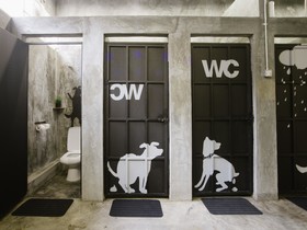 Paper Plane Hostel