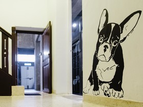 Paper Plane Hostel