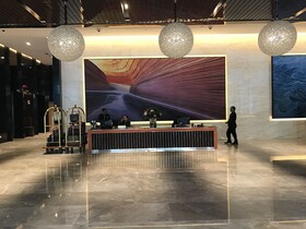 Platinum Suites