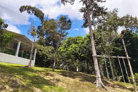 AlSafina Forest Stay