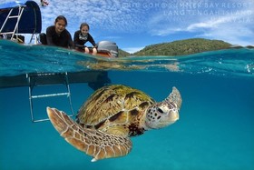 Summer Bay Lang Island Resort