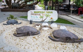 Summer Bay Lang Island Resort