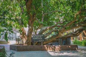 Summer Bay Lang Island Resort