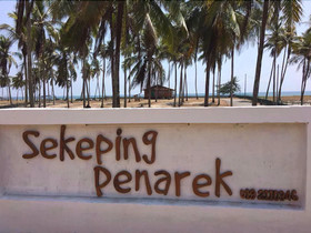 Sekeping Penarek