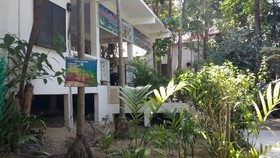 Perhentian Tropicana Inn