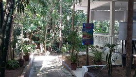 Perhentian Tropicana Inn