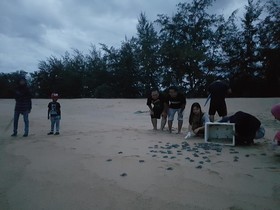 Pandan Laut Beach Resort