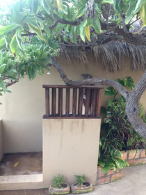 Casa Kiaat