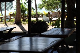 Baobab Beach Lodge & Backpackers