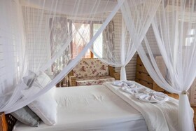 East Africa Safaris
