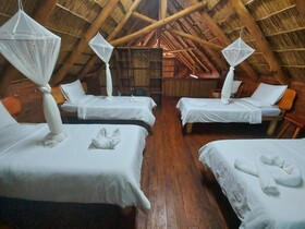 East Africa Safaris