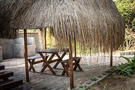 East Africa Safaris