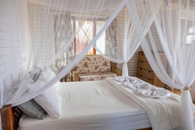East Africa Safaris