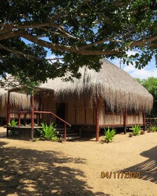 East Africa Safaris