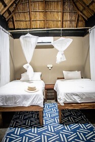 East Africa Safaris