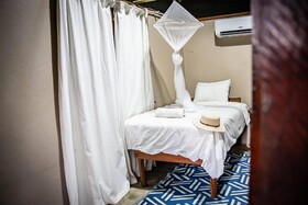 East Africa Safaris