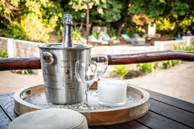 East Africa Safaris