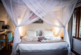 East Africa Safaris
