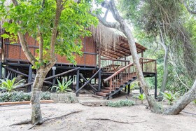 East Africa Safaris