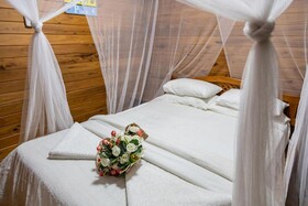 East Africa Safaris
