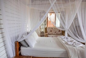 East Africa Safaris