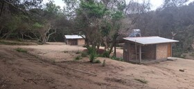 East Africa Safaris
