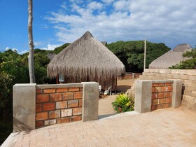 East Africa Safaris